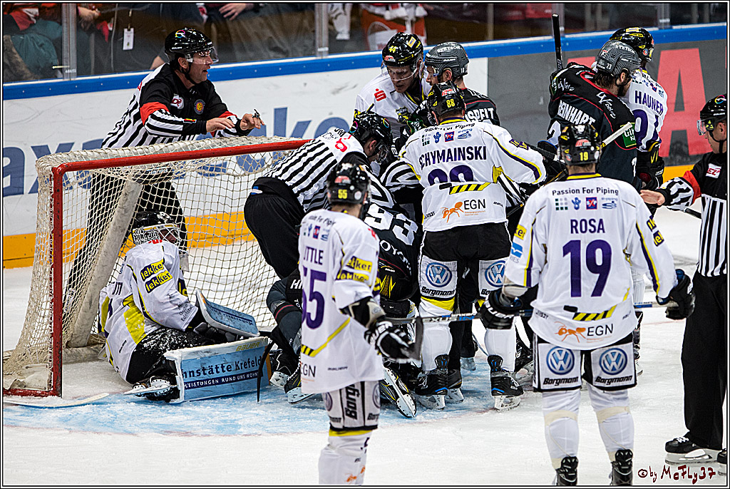 Koelner Haie - Krefelder Pinguine, 22.11.2016